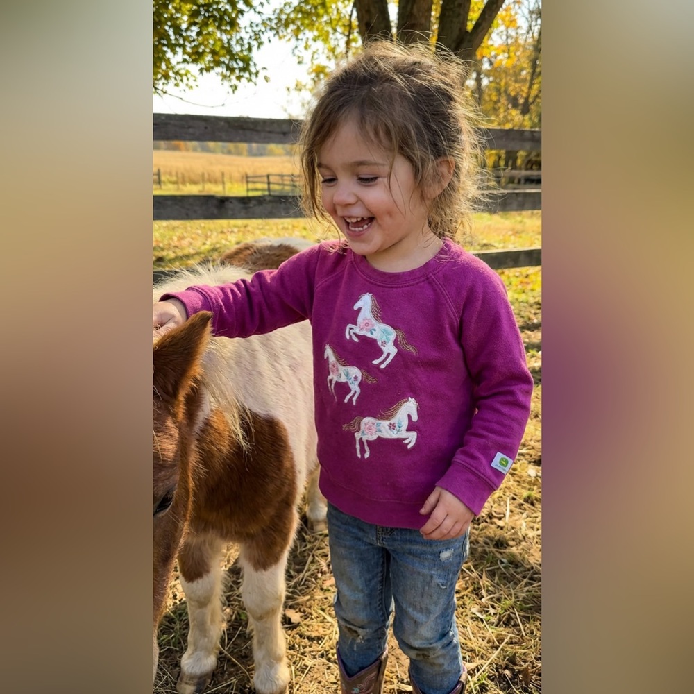 John Deere Horse Sweatshirt 3T Girls Purple Crewneck Toddler Western Pullover